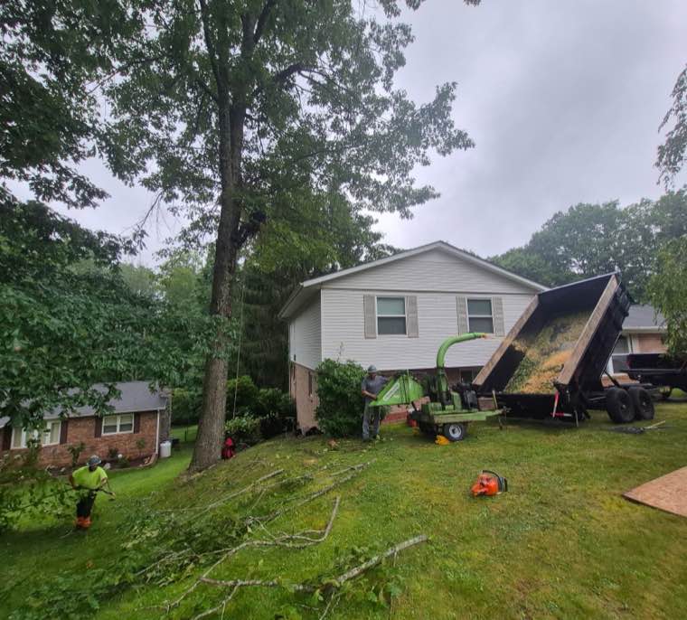 Top Line Tree Service tree work photo